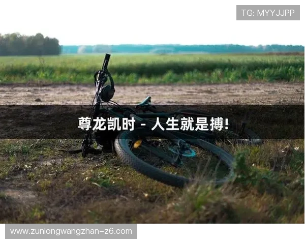 ag尊龙凯时人生:探索顶级娱乐平台带来的极致游戏体验与人生价值实现